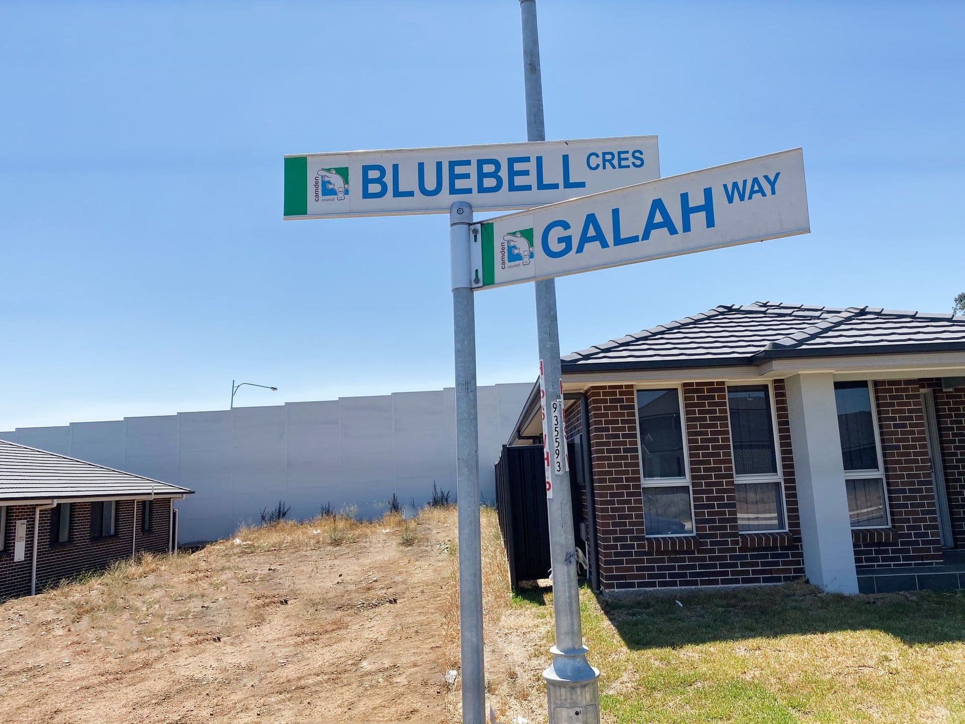 46 Bluebell Crescent, Spring Farm, NSW, 2570, Spring Farm - Image 1