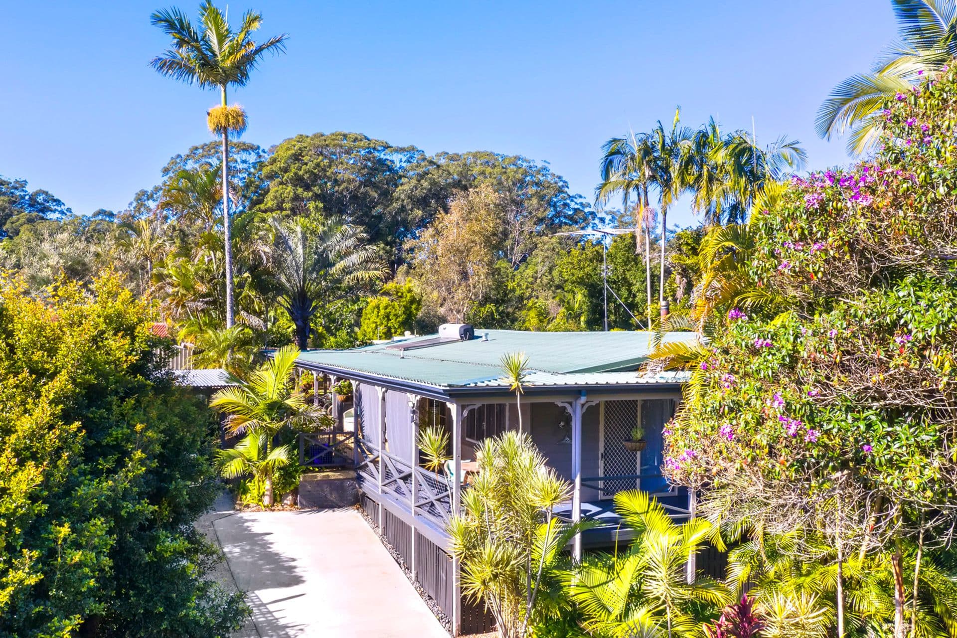 16 Kolora Place, Palmwoods, QLD, 4555, Palmwoods - Image 1