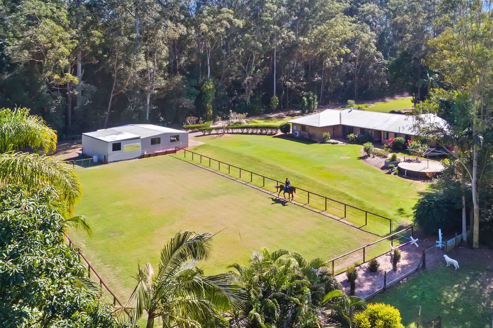 22 Bamboo Road, Palmwoods, QLD, 4555, Palmwoods - Image 1
