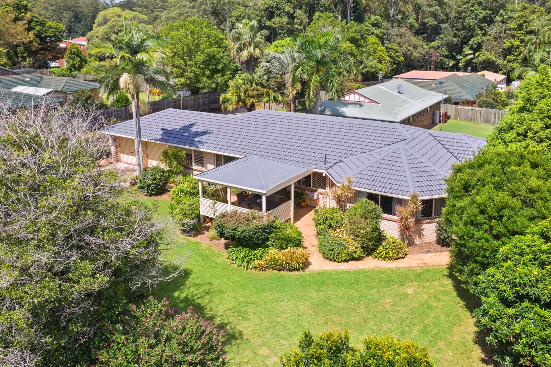 39 Stanley Street, Palmwoods, QLD, 4555, Palmwoods - Image 1