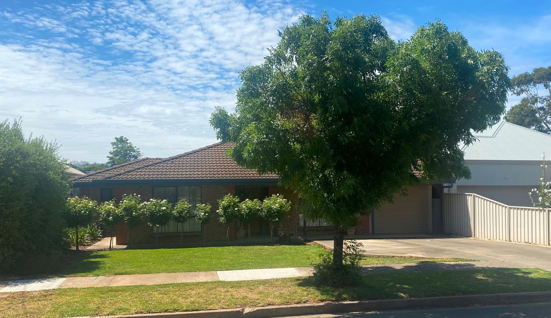 19 Lindsay St, Vale Park, SA, 5081, Greensborough - Image 1