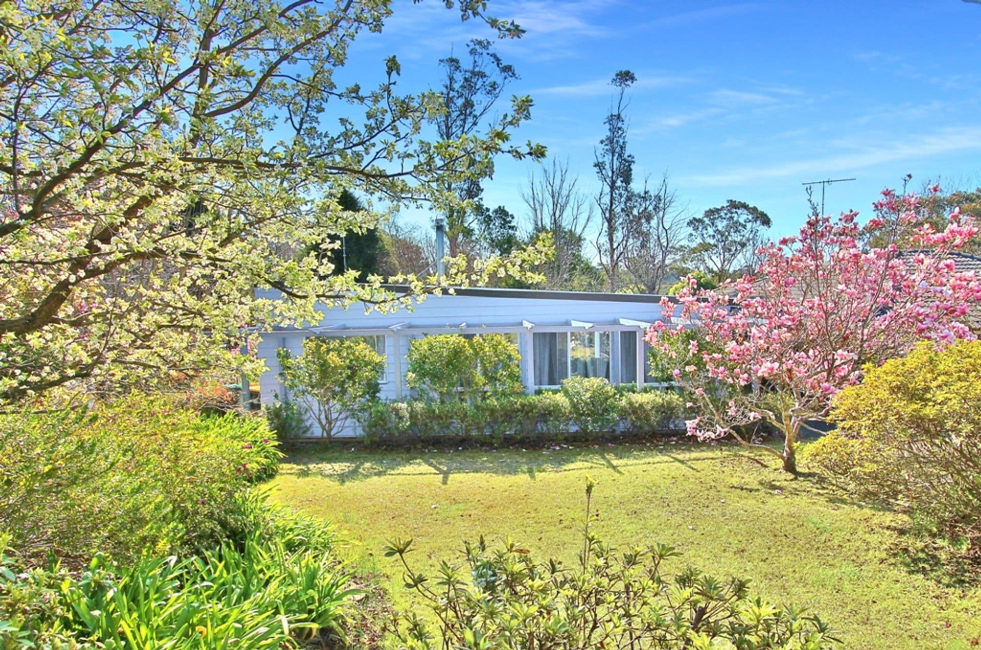 11 Yester Road, Wentworth Falls, NSW, 2782, Wentworth Falls - Image 1