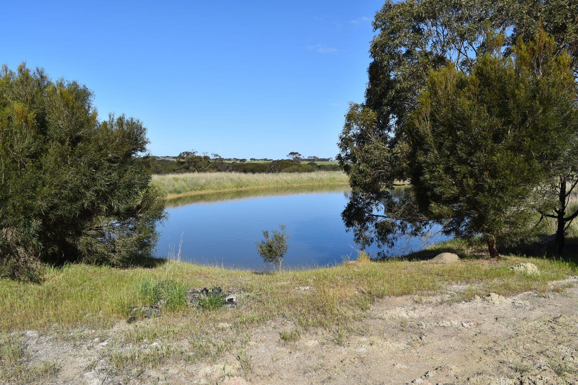 1121 Springs Road, Wisanger, SA, 5223, Menzies - Image 1