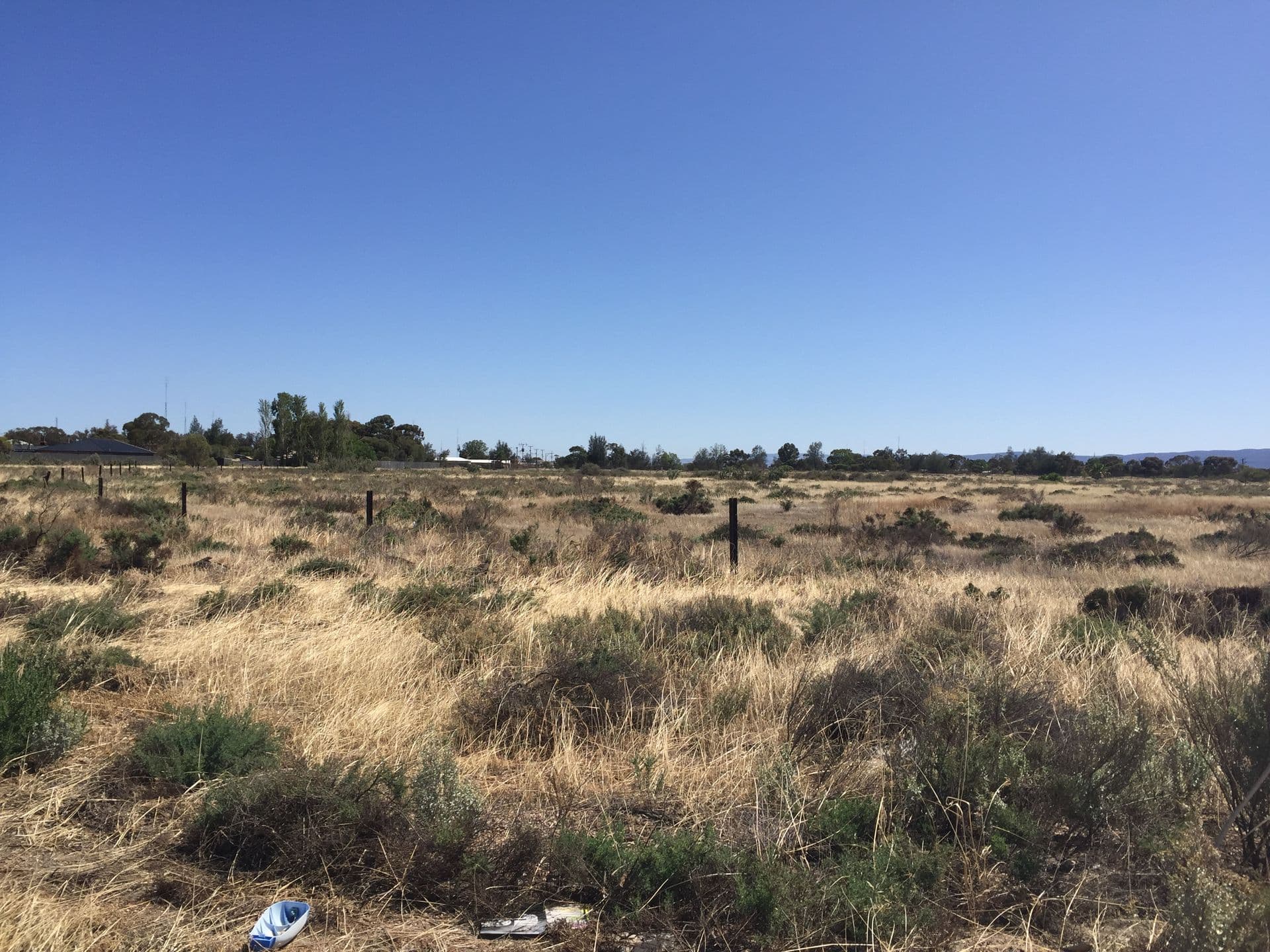Lot 366 Haslam Road, Port Pirie, SA, 5540, Port Pirie - Image 1