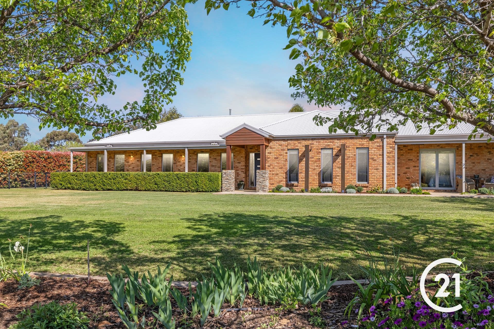 12 Hollara Drive, Moama, NSW, 2731, Moama - Image 1