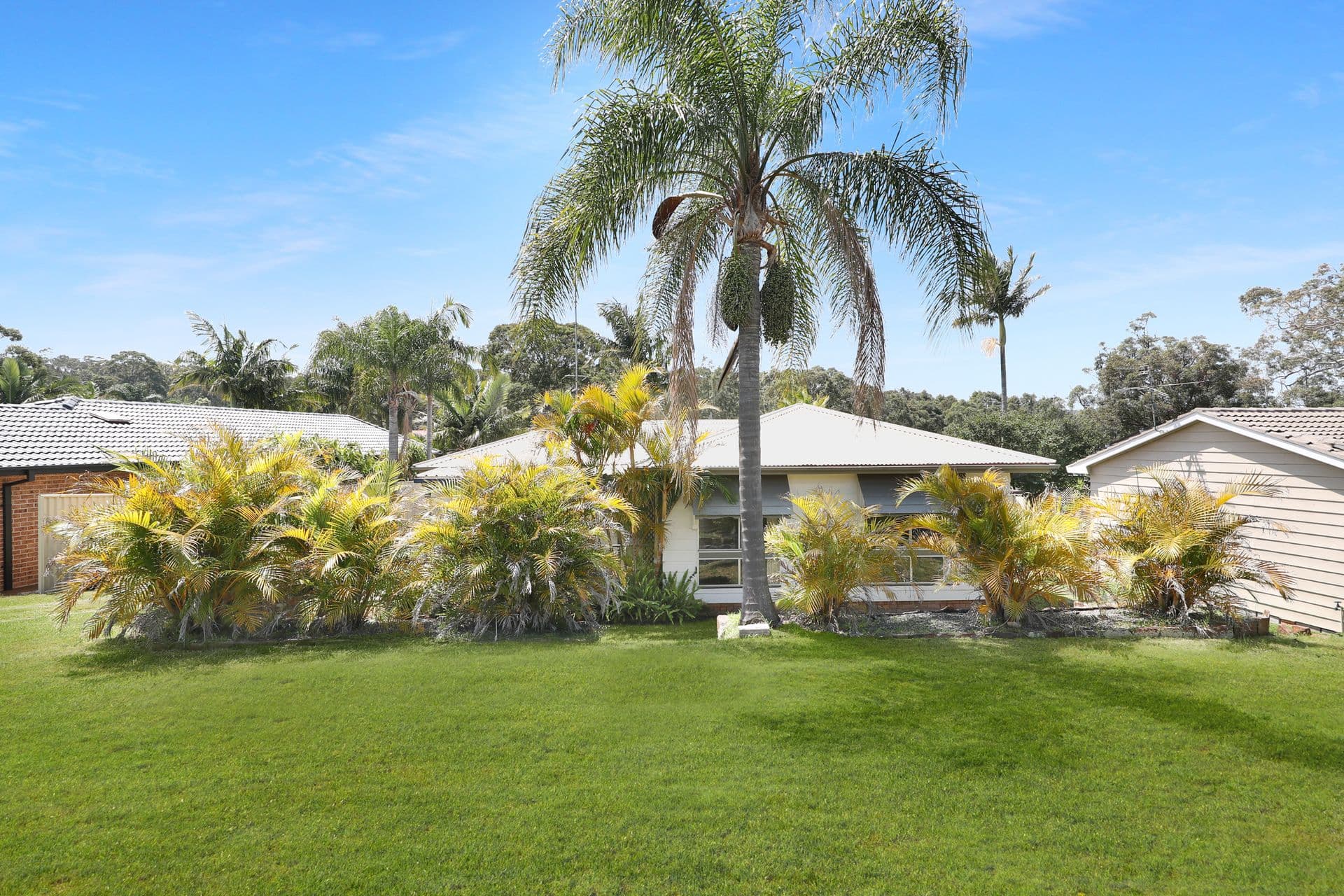 44 Kestrel Avenue, Mount Hutton, NSW, 2290, Mount Hutton - Image 1