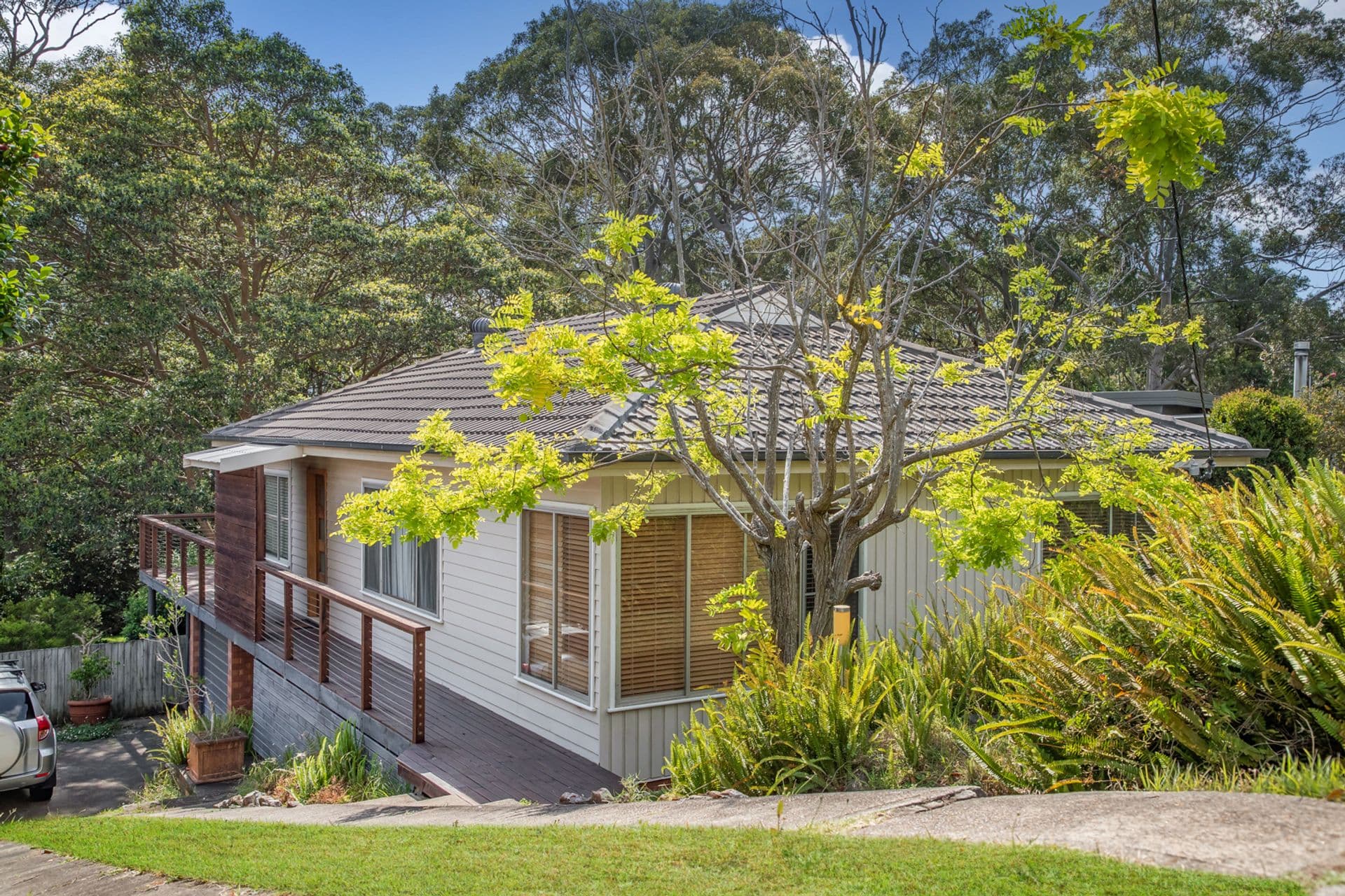 82 Roslyn Avenue, Charlestown, NSW, 2290, Charlestown - Image 1