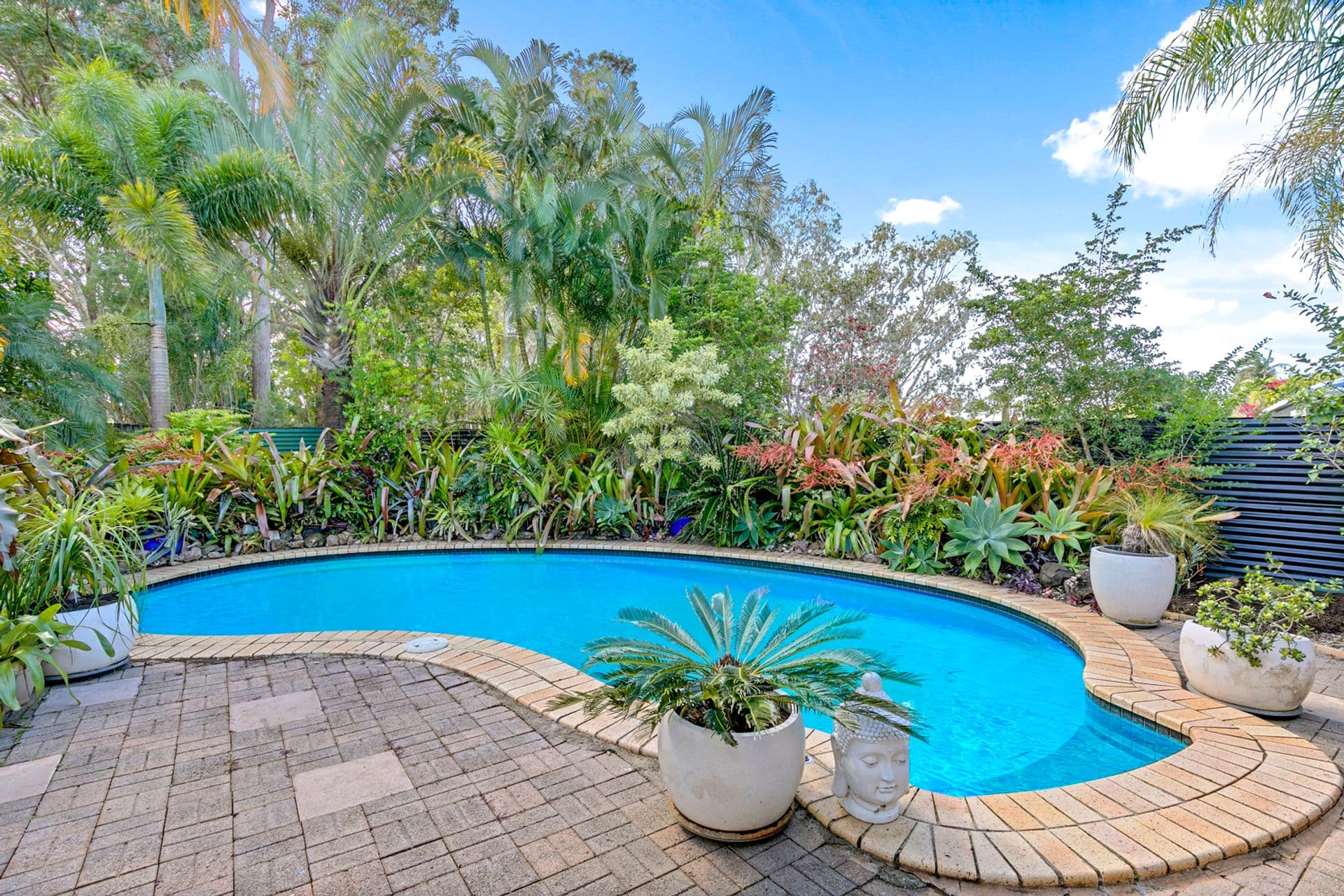 50 Karawatha Drive, Mountain Creek, QLD, 4557, Mountain Creek - Image 1