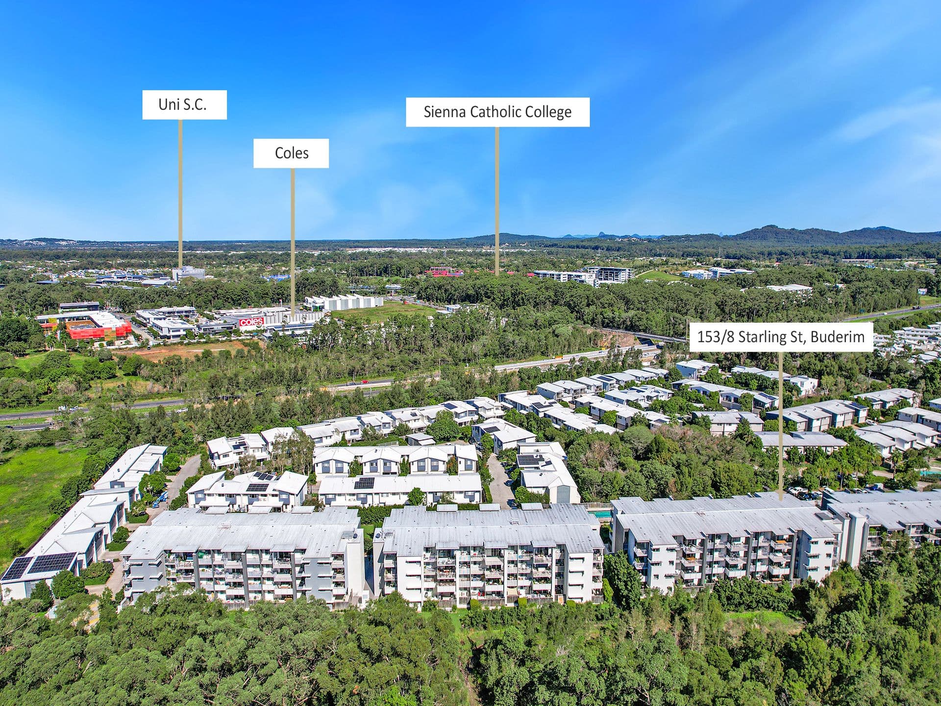 153/8 Starling Street, Buderim, QLD, 4556, Buderim - Image 1