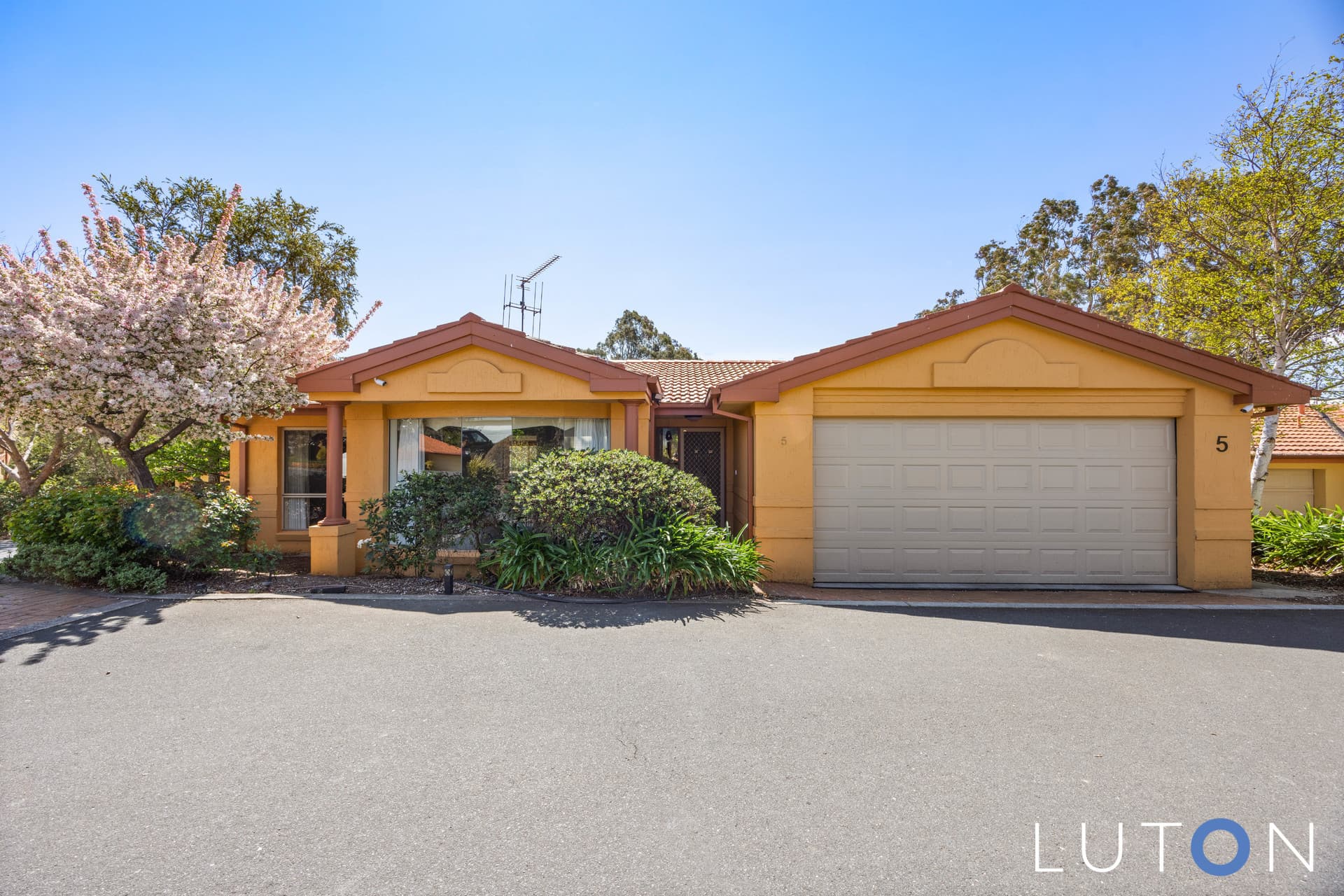5/27 Temperley Street, Nicholls ACT 2913, Nicholls - Image 1