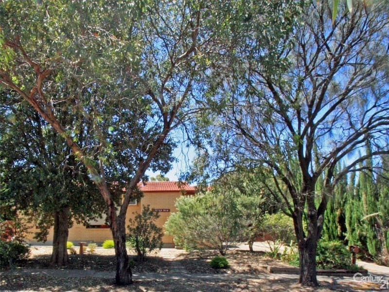17 Owen Court, Christie Downs, SA, 5164, Christie Downs - Image 1