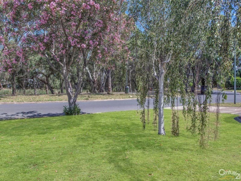 87 Riverway, Kidman Park, SA, 5025, Kidman Park - Image 1