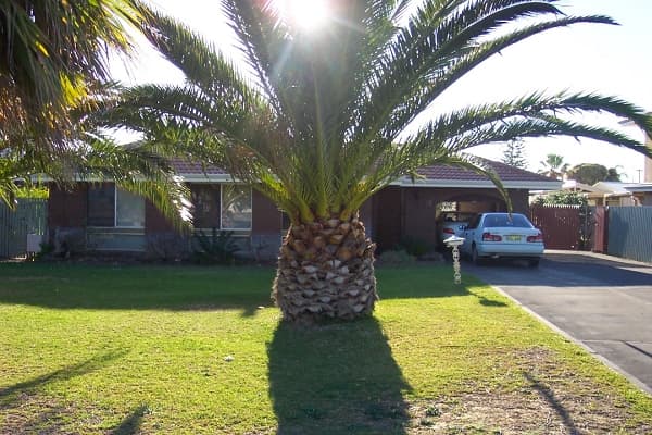 20/61 Rockingham Beach Road, Rockingham, WA, 6168, Safety Bay - Image 1